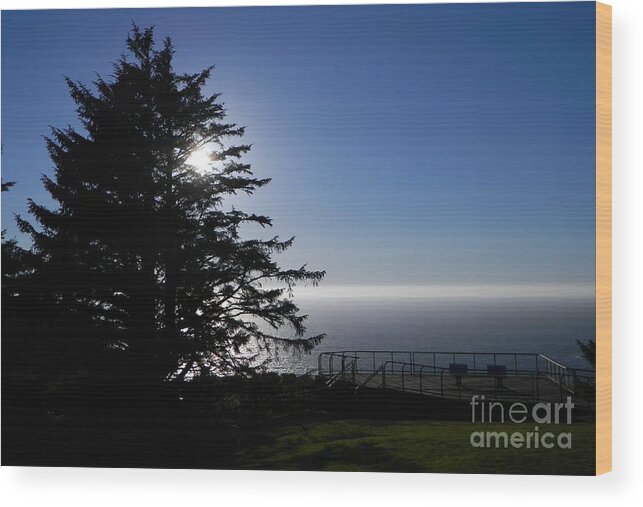 Sunset Wood Print featuring the photograph Sun Behind Tree by Gallery Of Hope 