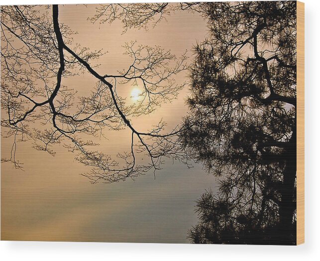 Sun Wood Print featuring the photograph Sun Moon by HweeYen Ong