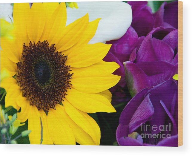 Sunflower Wood Print featuring the photograph Sunflower And Company by Dana Kern
