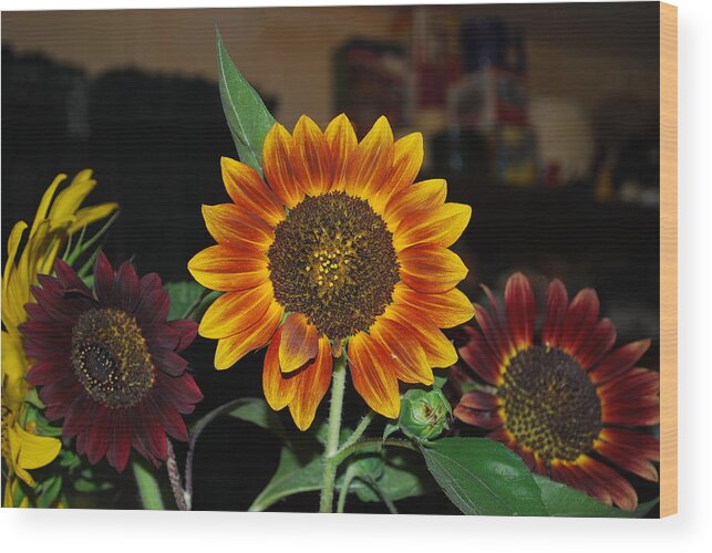 Squirrel Food Wood Print featuring the photograph Sunflowers by Robert Floyd