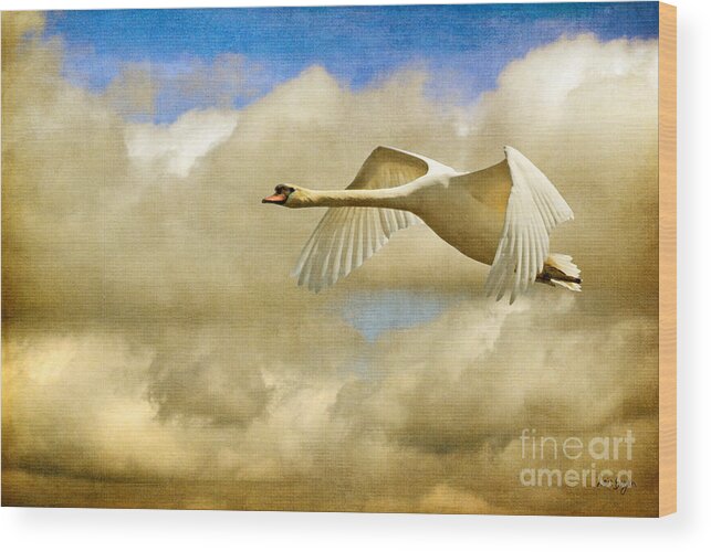 Nature Wood Print featuring the photograph Swan Song by Lois Bryan