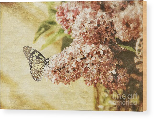 Butterfly Wood Print featuring the photograph Sweet Lilacs by Lois Bryan