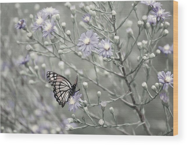 Monarch Butterfly Wood Print featuring the photograph Taking time to smell the flowers by Tracy Winter