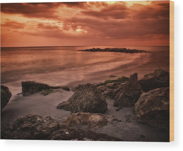 Crystal Yingling Wood Print featuring the photograph Tangerine Dream by Ghostwinds Photography
