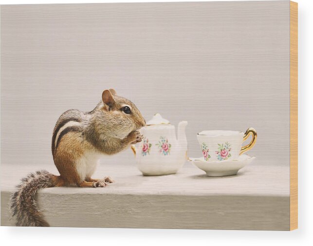 Chipmunks Wood Print featuring the photograph Tea Party with Chipmunk by Peggy Collins
