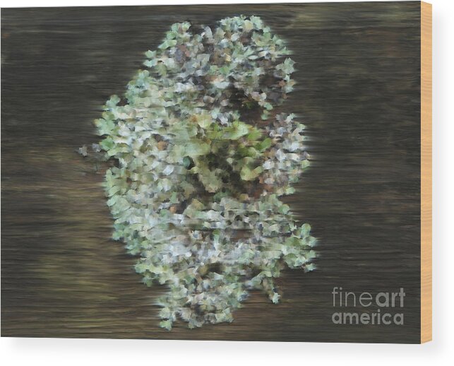 Nature Wood Print featuring the digital art Tenacity by Michelle Twohig