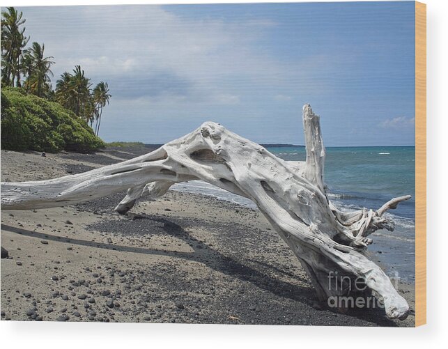 Hawaii Wood Print featuring the photograph The Bali House View by Bob Hislop