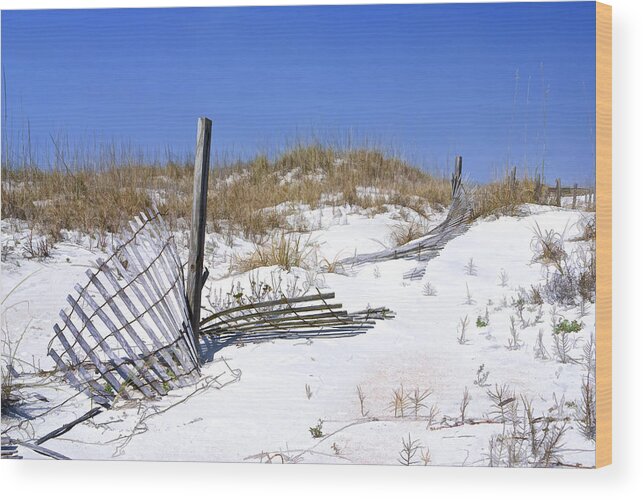 Florida Wood Print featuring the photograph The Beach in Anastasia State Park by Betty Eich
