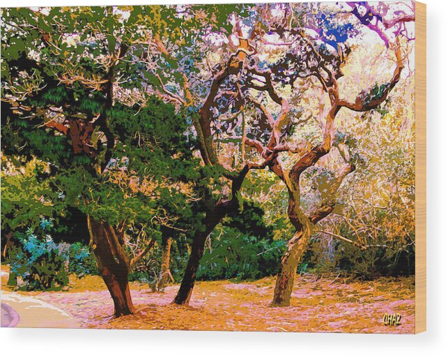 Tree Wood Print featuring the painting The Beautiful Trees of Florida by CHAZ Daugherty