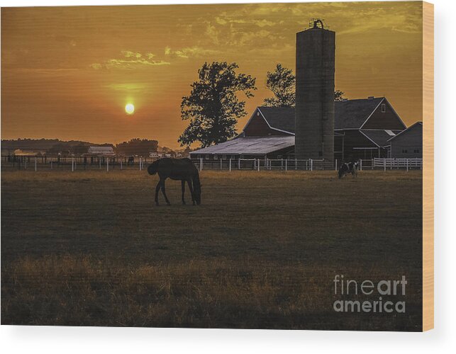 M.c. Story Wood Print featuring the photograph The Beauty of a Rural Sunset by Mary Carol Story