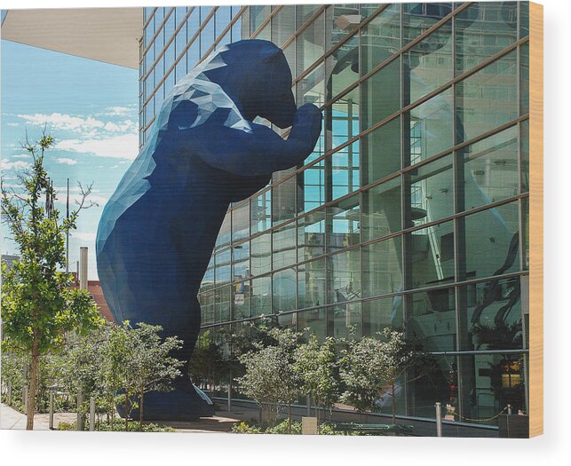 Denver Wood Print featuring the photograph The Blue Bear by Dany Lison