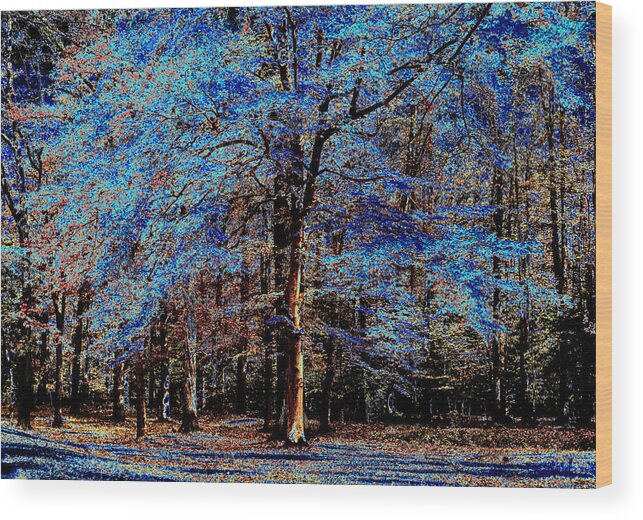 Blue Wood Print featuring the digital art The Glow Tree Series Two by Michelle Ayn Potter