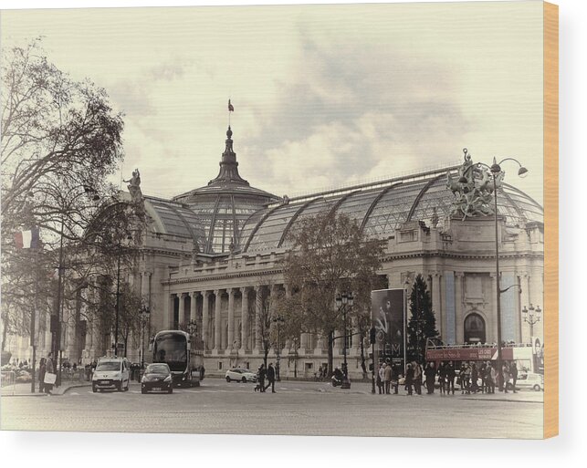 Grand Palais Wood Print featuring the photograph The Grand Palais Paris by Lynn Bolt