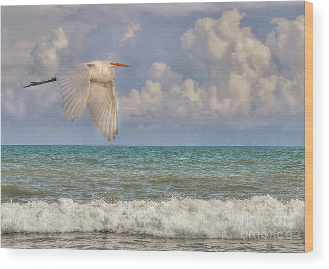 Beach Wood Print featuring the photograph The Great Egret And The Ocean by Kathy Baccari