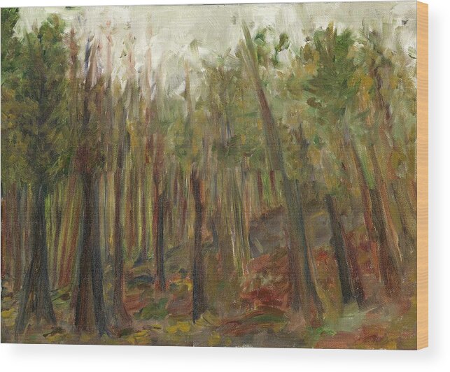 Trees Wood Print featuring the painting The Land Between II by David Dossett