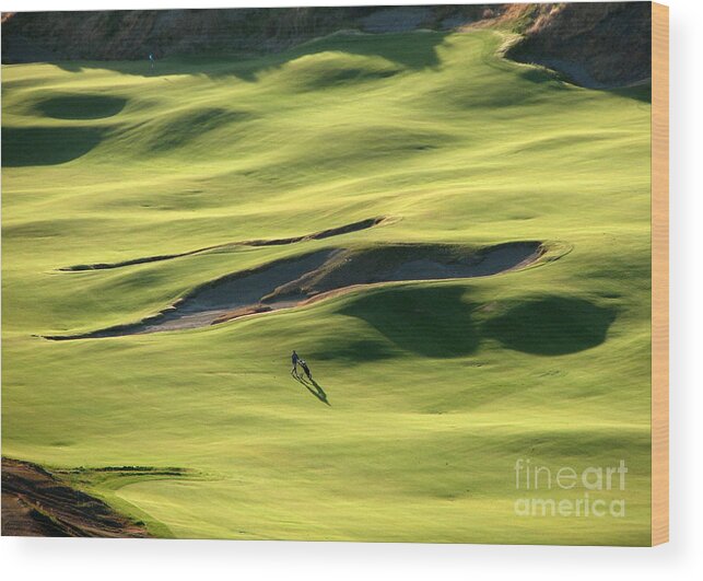 Chambers Bay Golf Course Wood Print featuring the photograph The Long Green Walk - Chambers Bay Golf Course by Chris Anderson