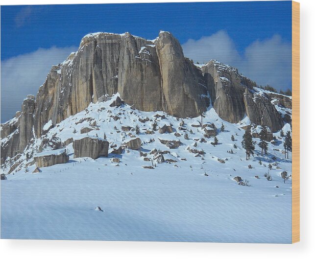 Steamship Point Wood Print featuring the photograph The Mountain Citadel by Michele Myers