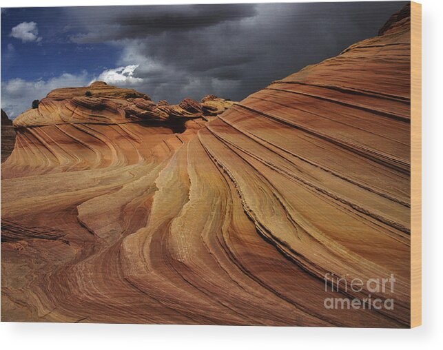 The Second Wave Wood Print featuring the photograph The Second Wave by Vivian Christopher