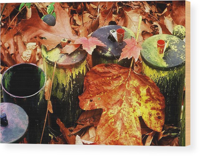 Fine Art Wood Print featuring the photograph The Secret Of Fall by Rodney Lee Williams