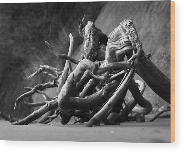 Driftwood Wood Print featuring the photograph The Sound the Sea Makes by Rebecca Sherman