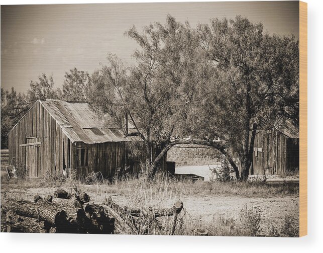 Old Wood Print featuring the photograph The Spread by Amber Kresge