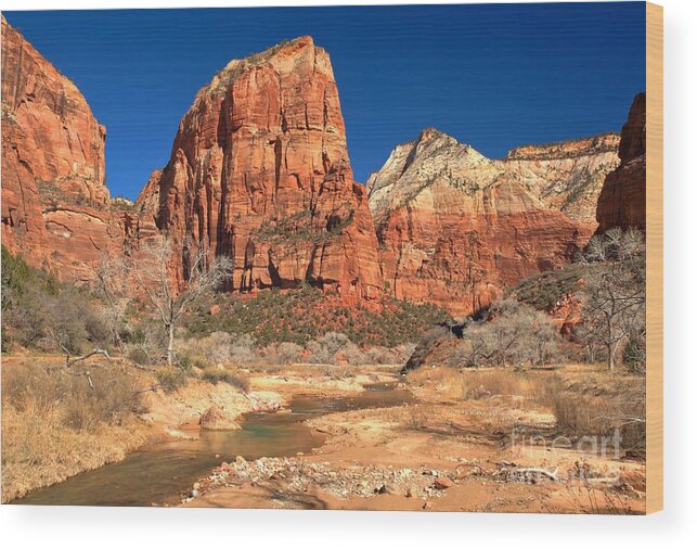 Angels Landing Wood Print featuring the photograph The Virgin And The Angel by Adam Jewell