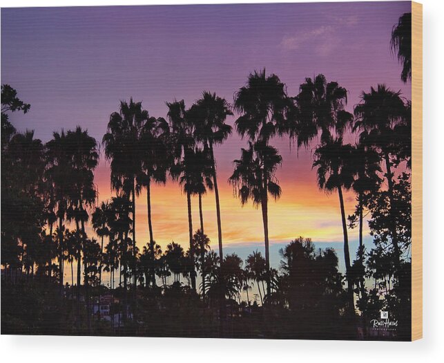 La Jolla Shores Wood Print featuring the photograph Through The Palms Beach and Tennis Club by Russ Harris