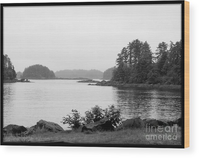 Black And White Wood Print featuring the photograph Tranquil Harbor by Victoria Harrington