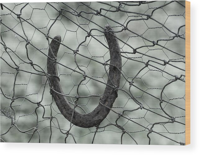 Horseshoe Wood Print featuring the photograph Trapped Horseshoe by Kathy Paynter