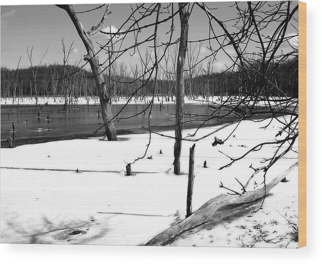 Tree Wood Print featuring the photograph Tree Graveyard in Winter by Ellen Tully