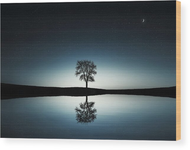 Amazing Wood Print featuring the photograph Tree near lake at night by Bess Hamiti
