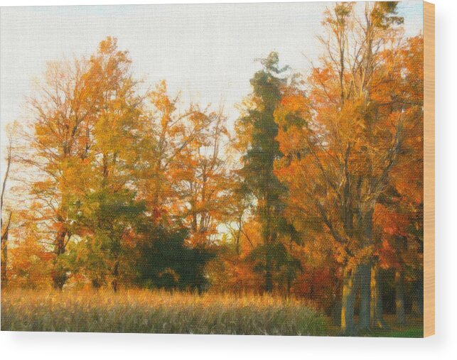 Trees Wood Print featuring the photograph Trees of Fall - Digital Painting Effect by Rhonda Barrett