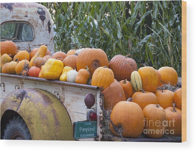 Agribusiness Wood Print featuring the photograph Truck Full of Pumpkins by Juli Scalzi