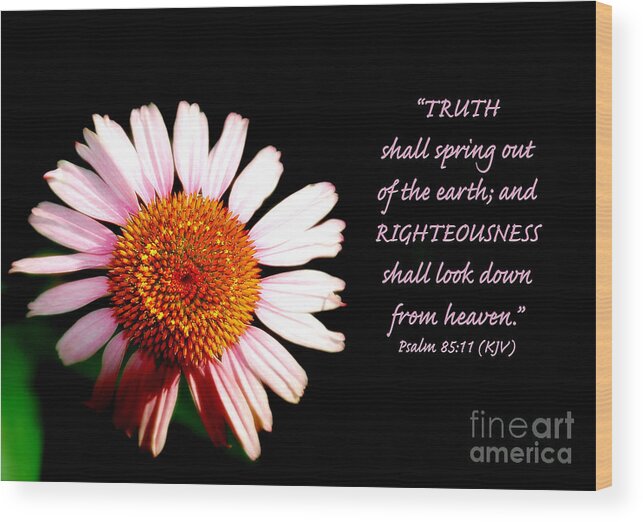 Inspiration Wood Print featuring the photograph Truth and Righteousness by Lincoln Rogers