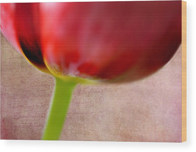 Tulip Wood Print featuring the photograph Tulip by Kathy Williams-Walkup