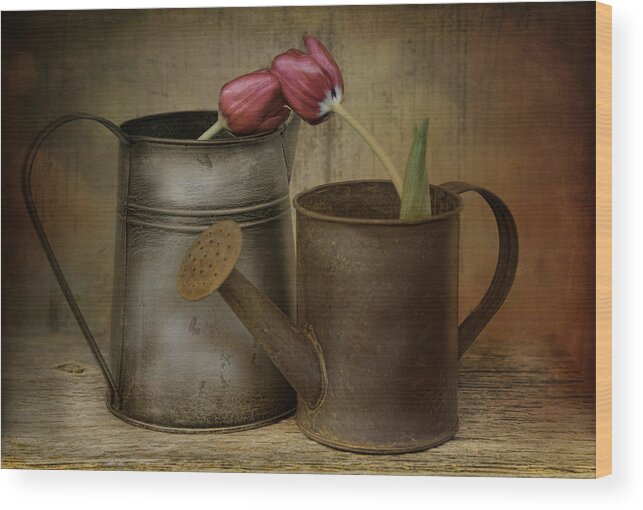 Tulips Wood Print featuring the photograph Tulip Tales by Robin-Lee Vieira