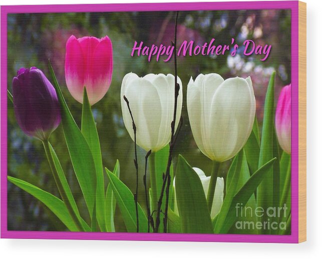 White Tulips Wood Print featuring the photograph Tulips for Mother's Day by Joan-Violet Stretch