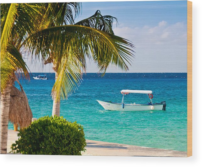 Cozumel Wood Print featuring the photograph Turquoise waters in Cozumel by Mitchell R Grosky