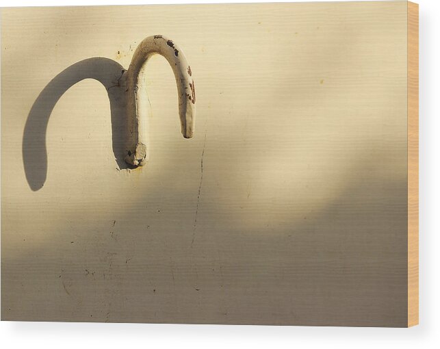 Curved Metal Shadow Wood Print featuring the photograph Twins from the Left by Prakash Ghai