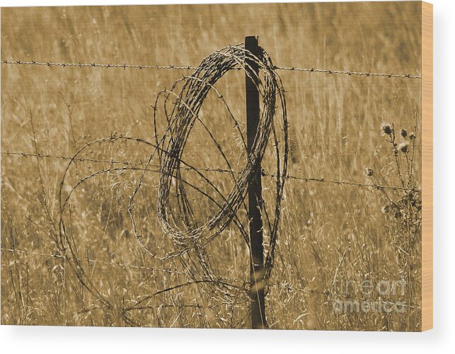 Fence Wood Print featuring the photograph Twisted - Sepia by Mary Carol Story