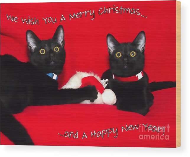 Black Wood Print featuring the photograph two black cats Christmas by Peggy Hughes