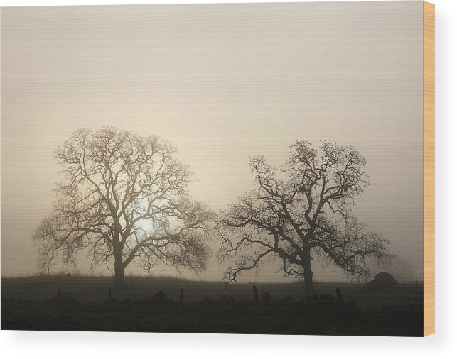 Chico Wood Print featuring the photograph Two Trees In Fog by Robert Woodward