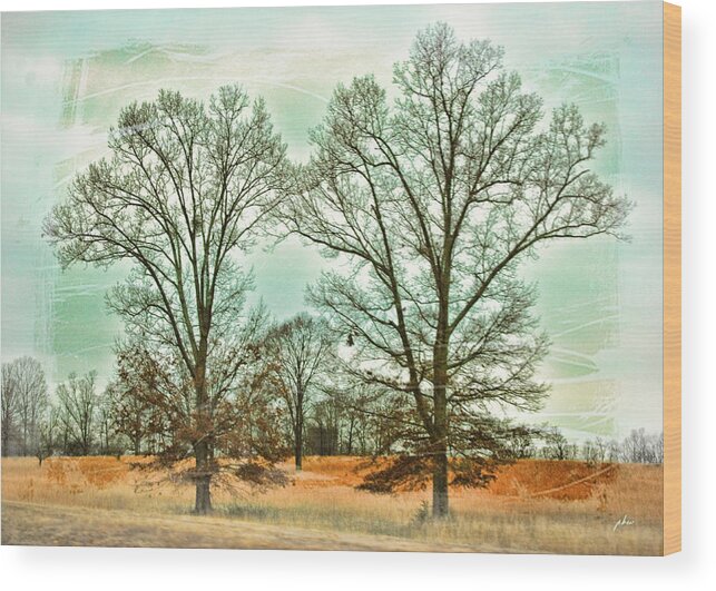 Wright Fine Art Wood Print featuring the photograph Two Trees by Paulette B Wright