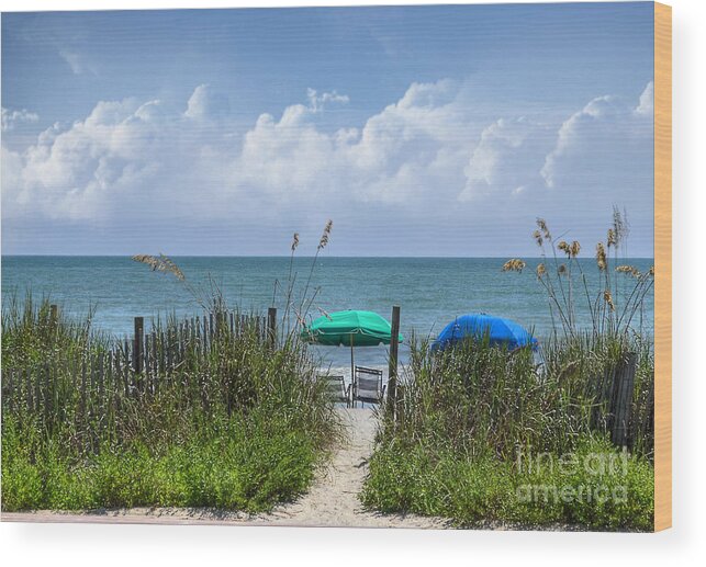 Beach Wood Print featuring the photograph Umbrella Heaven by Kathy Baccari