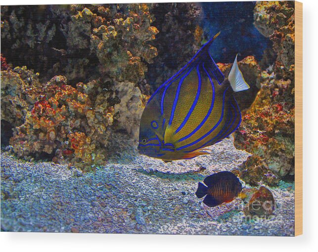 Underwater World Wood Print featuring the photograph Underwater World by Savannah Gibbs