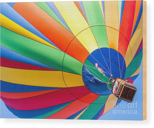 Hot Air Balloons Balloons Wood Print featuring the photograph Up Up And Away by Roselynne Broussard