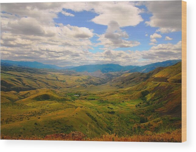 Wilderness Wood Print featuring the photograph Valley in Northern Idaho by Larry Moloney