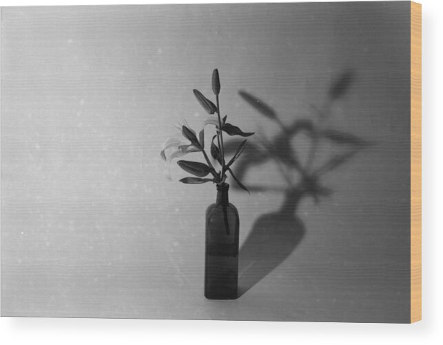 Still Life Black And White Wood Print featuring the photograph Vase and Flower by Penelope Aiello
