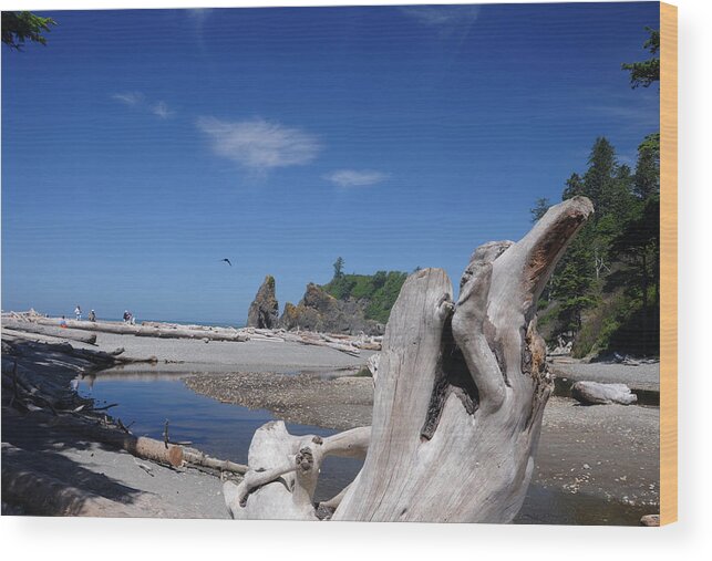 Landscape Wood Print featuring the photograph View From Deadwood by SEA Art