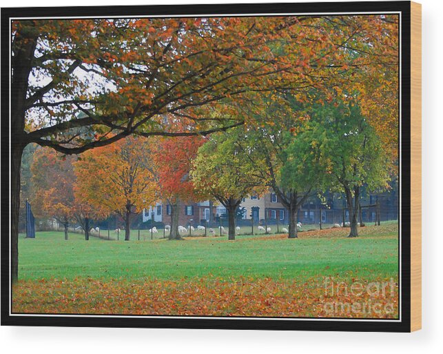 Autumn Wood Print featuring the photograph Village Autumn by Kerri Farley